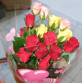 15 Mixed Roses