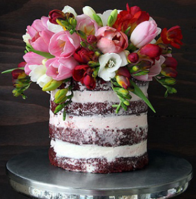 Rustic Red Velvet